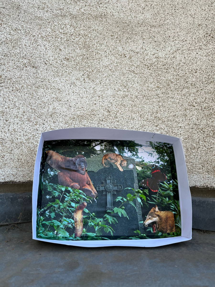 Workshop friedhof st clemens mauritius 19